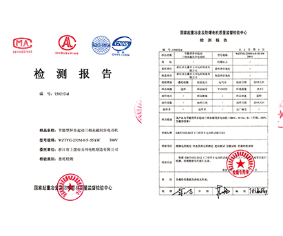 檢測報(bào)告-紹興上虞五州電機(jī)制造有限公司